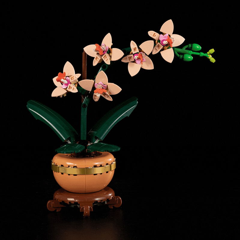 Light Kit For Mini Orchid 10343