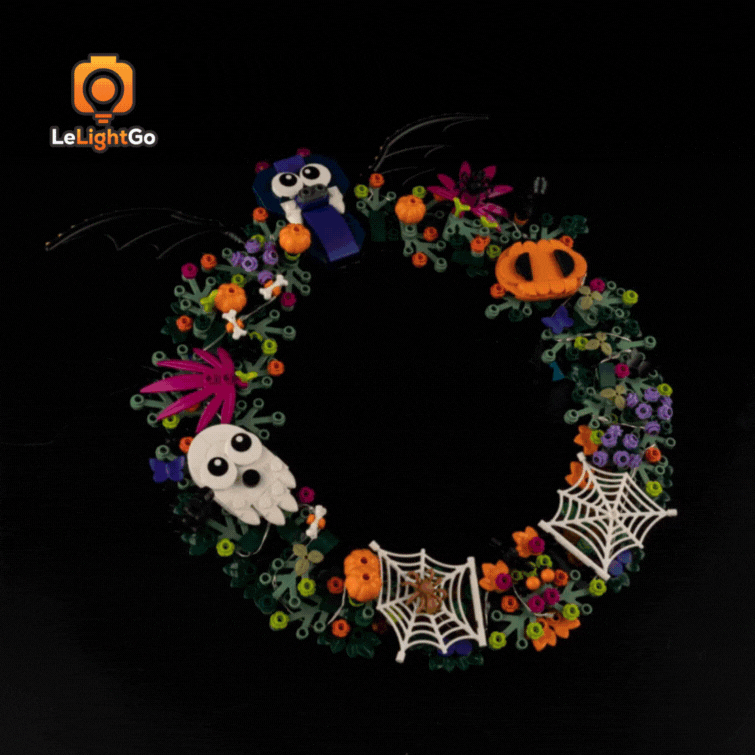 Light Kit For Halloween Wreath 40825