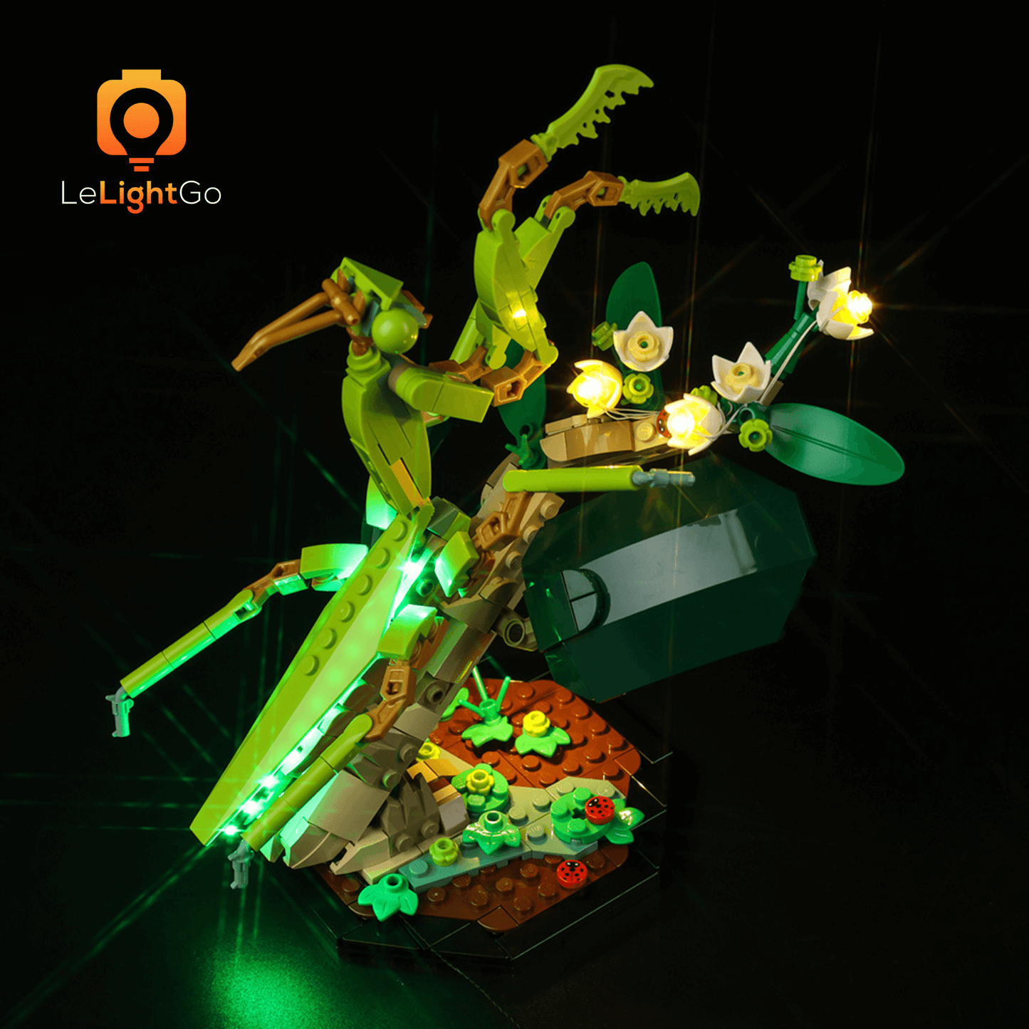 Light Kit For The Insect Collection 21342