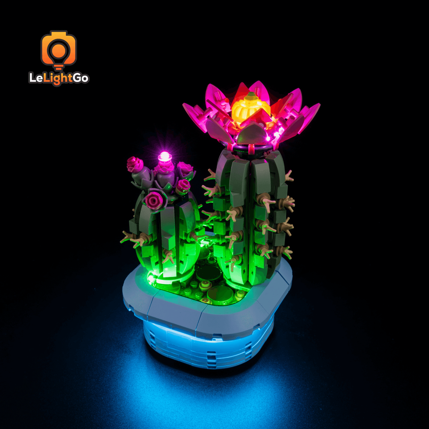 Light Kit For Flowering Cactus 11509