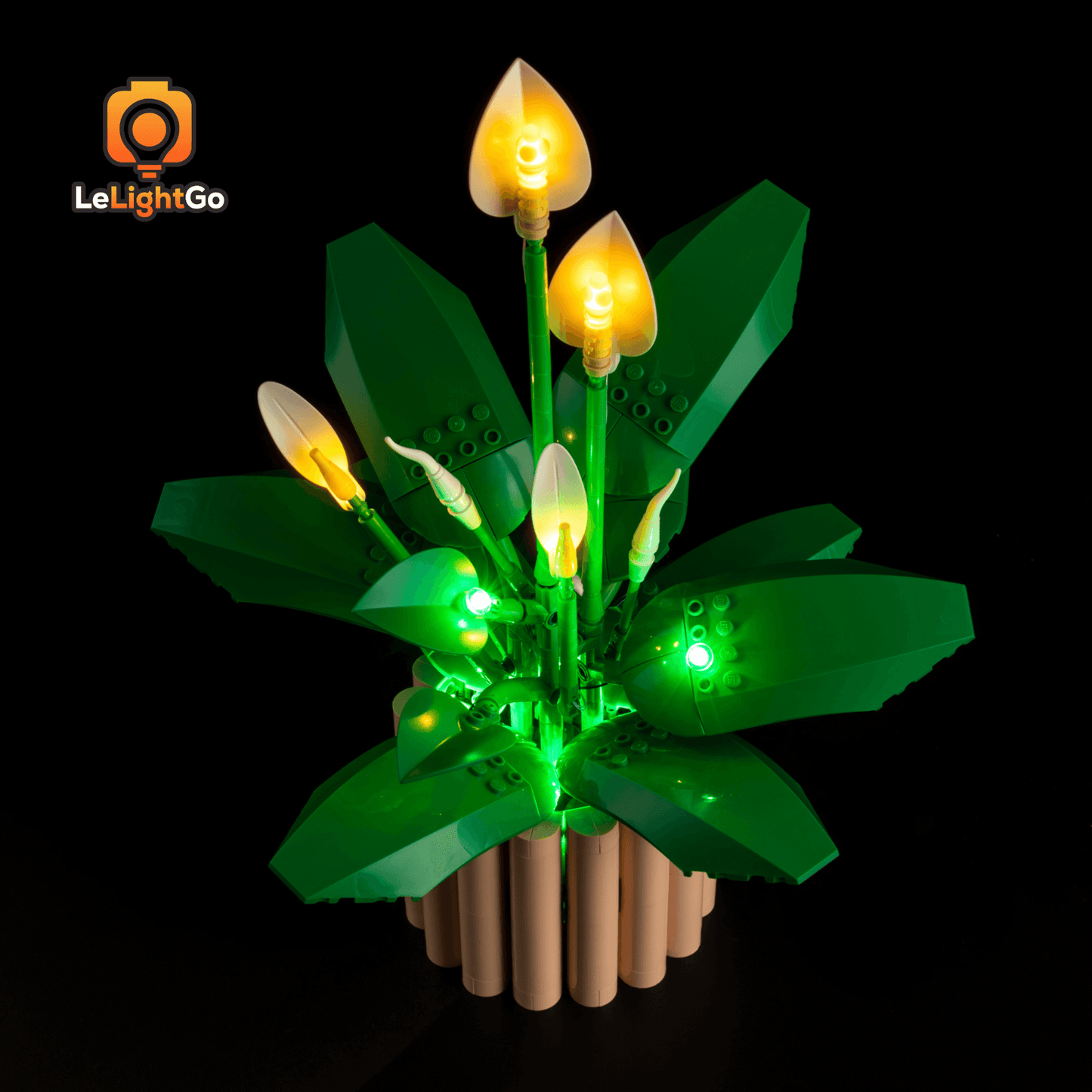 Light Kit For Peace Lily 11504