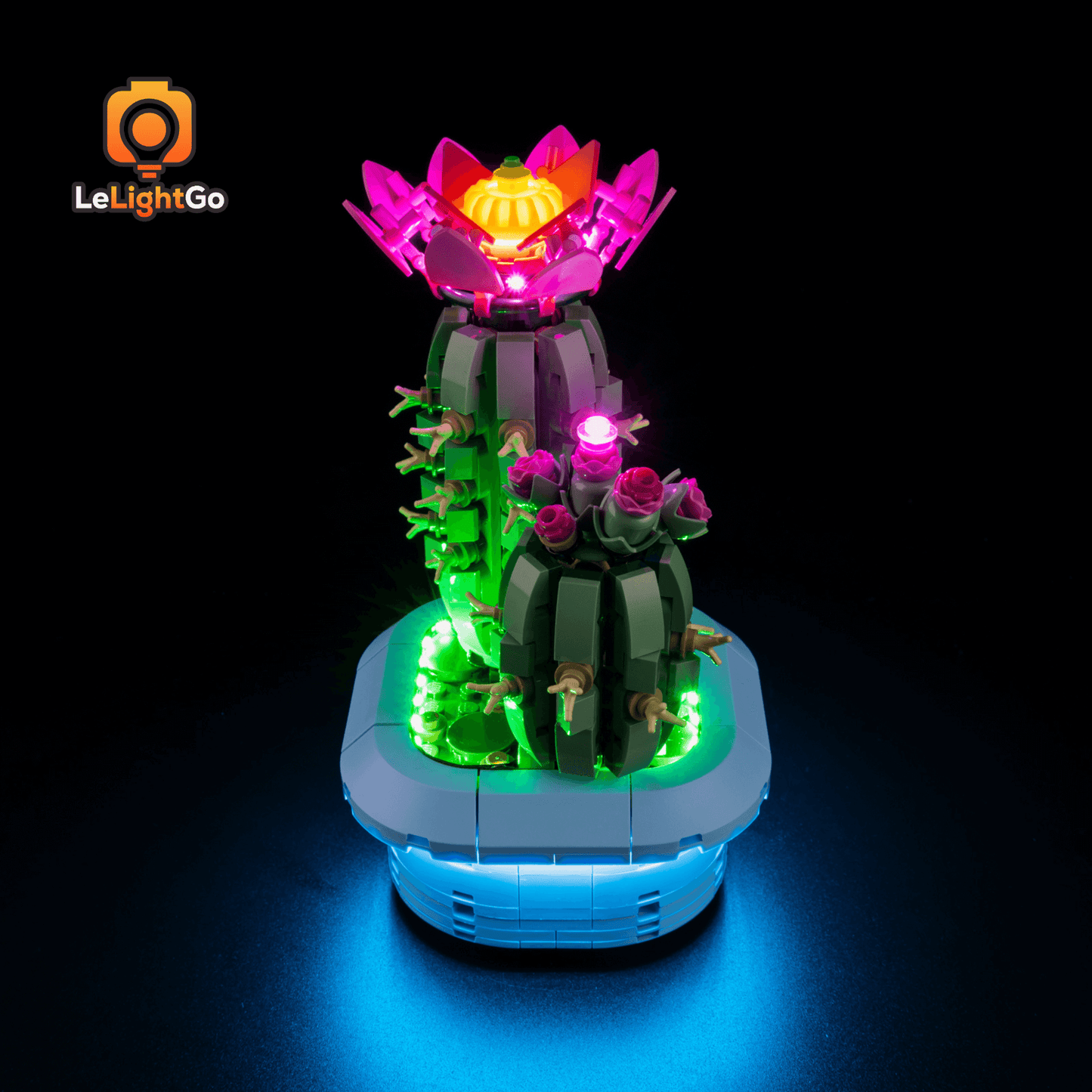 Light Kit For Flowering Cactus 11509