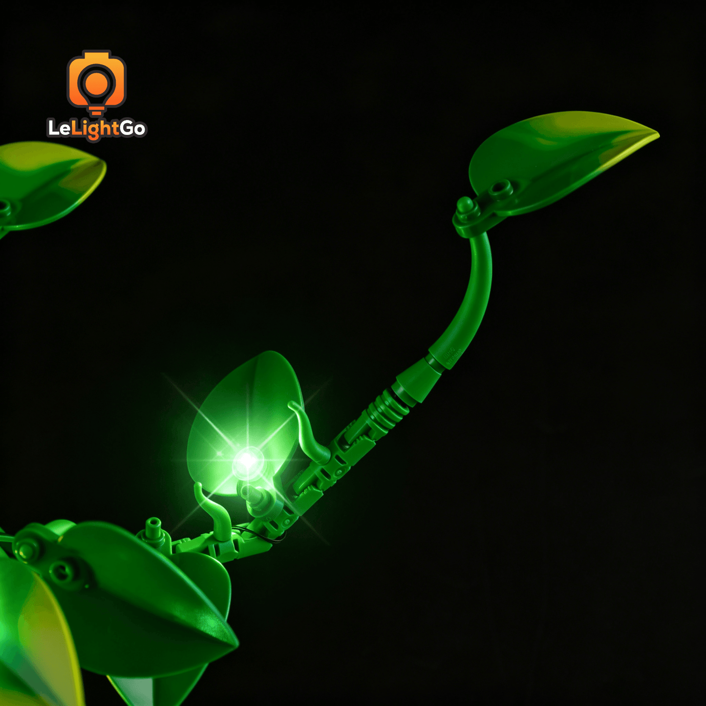 Light Kit For Hanging Golden Pothos 11512
