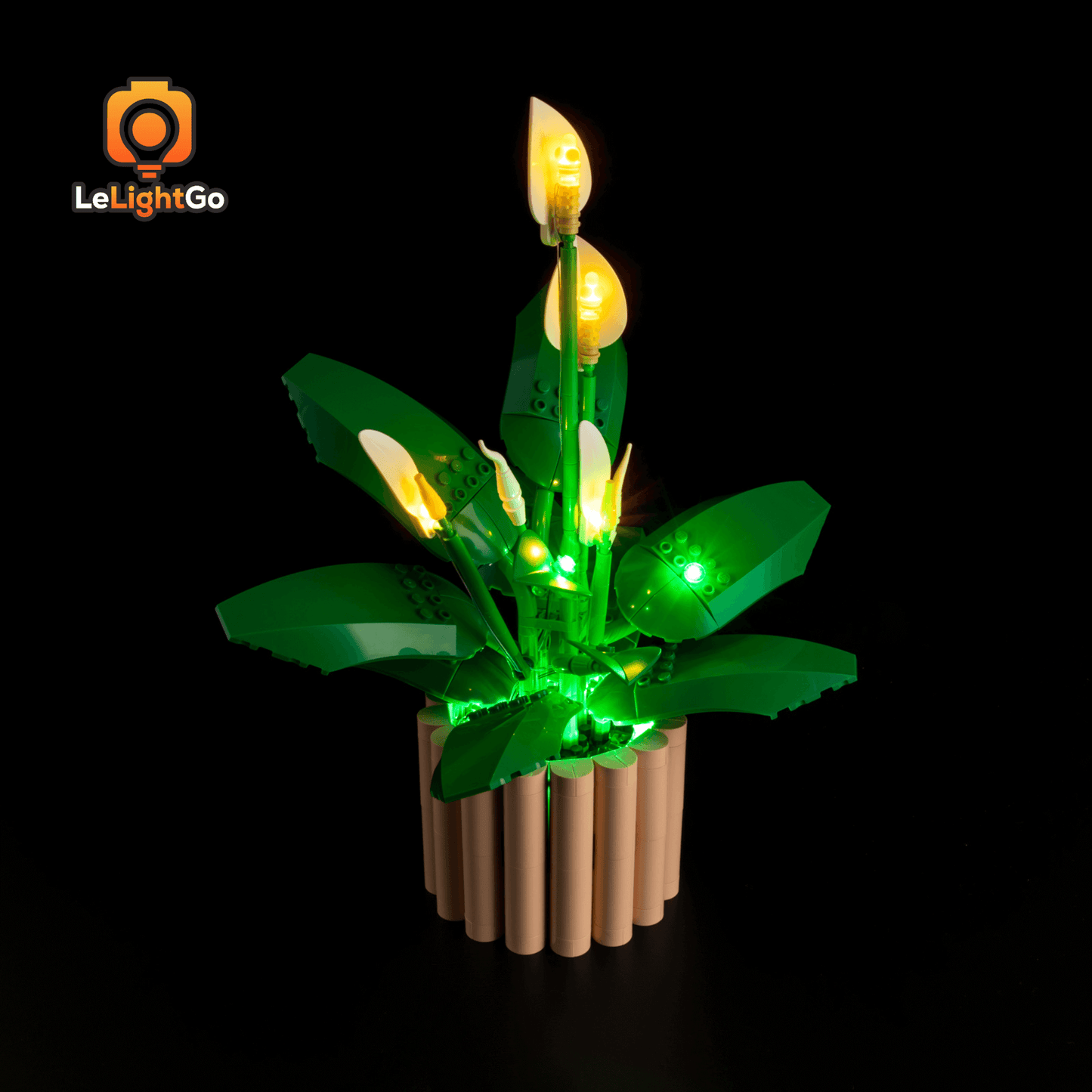 Light Kit For Peace Lily 11504