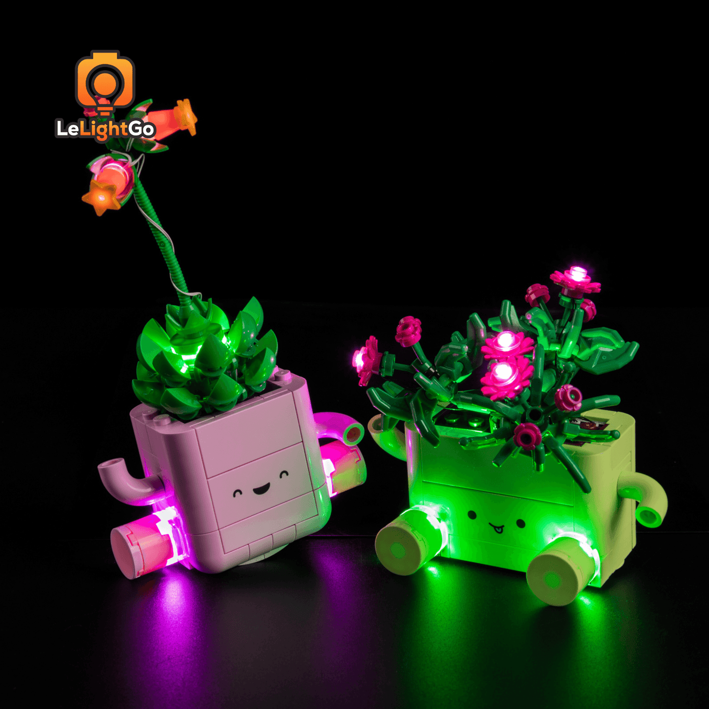 Light Kit For Rocking Plants 11506