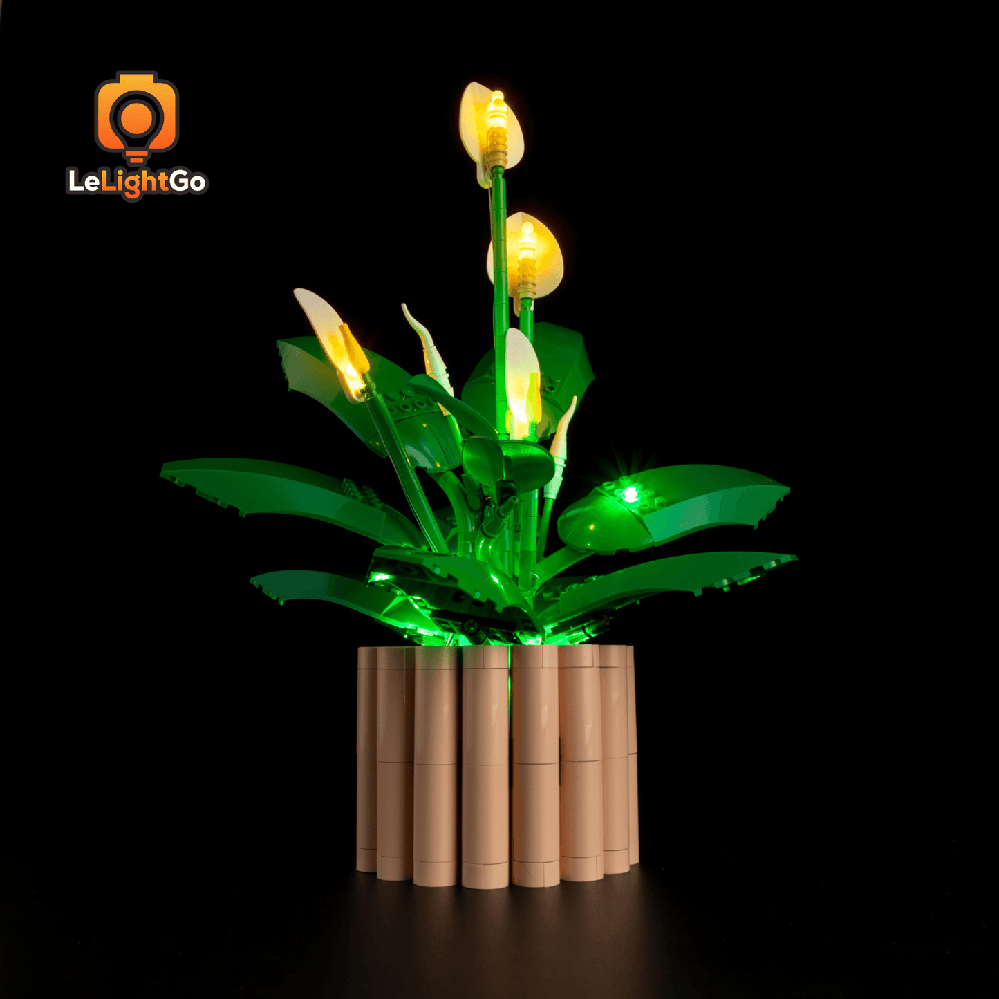 Light Kit For Peace Lily 11504