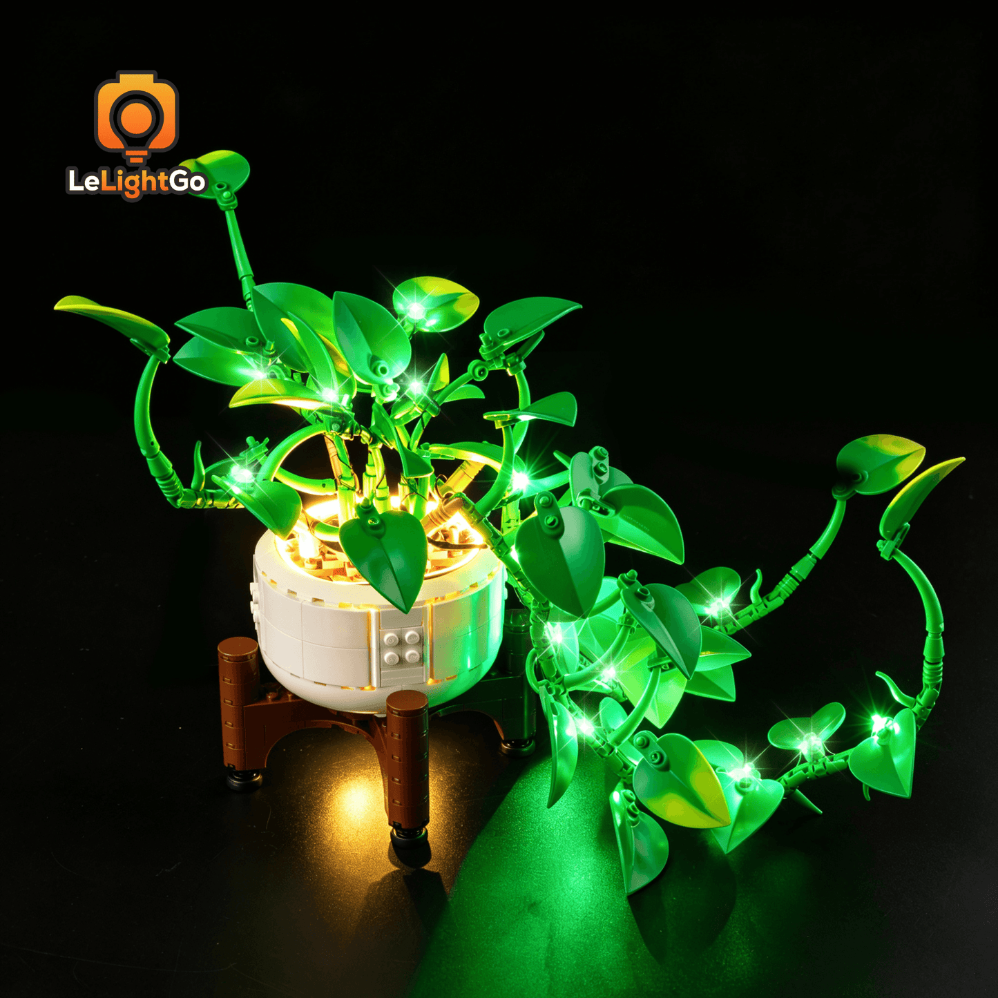 Light Kit For Hanging Golden Pothos 11512
