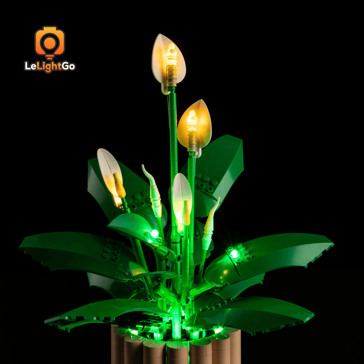 Light Kit For Peace Lily 11504