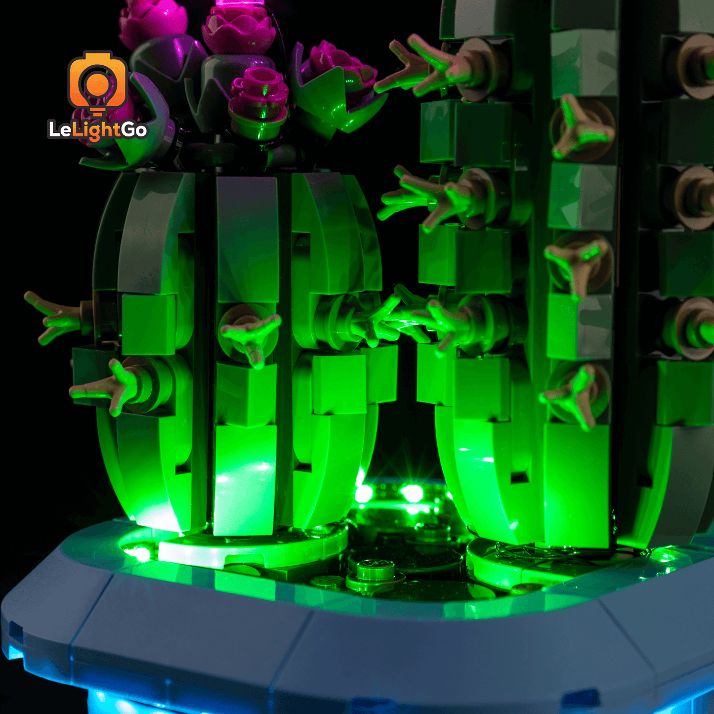 Light Kit For Flowering Cactus 11509