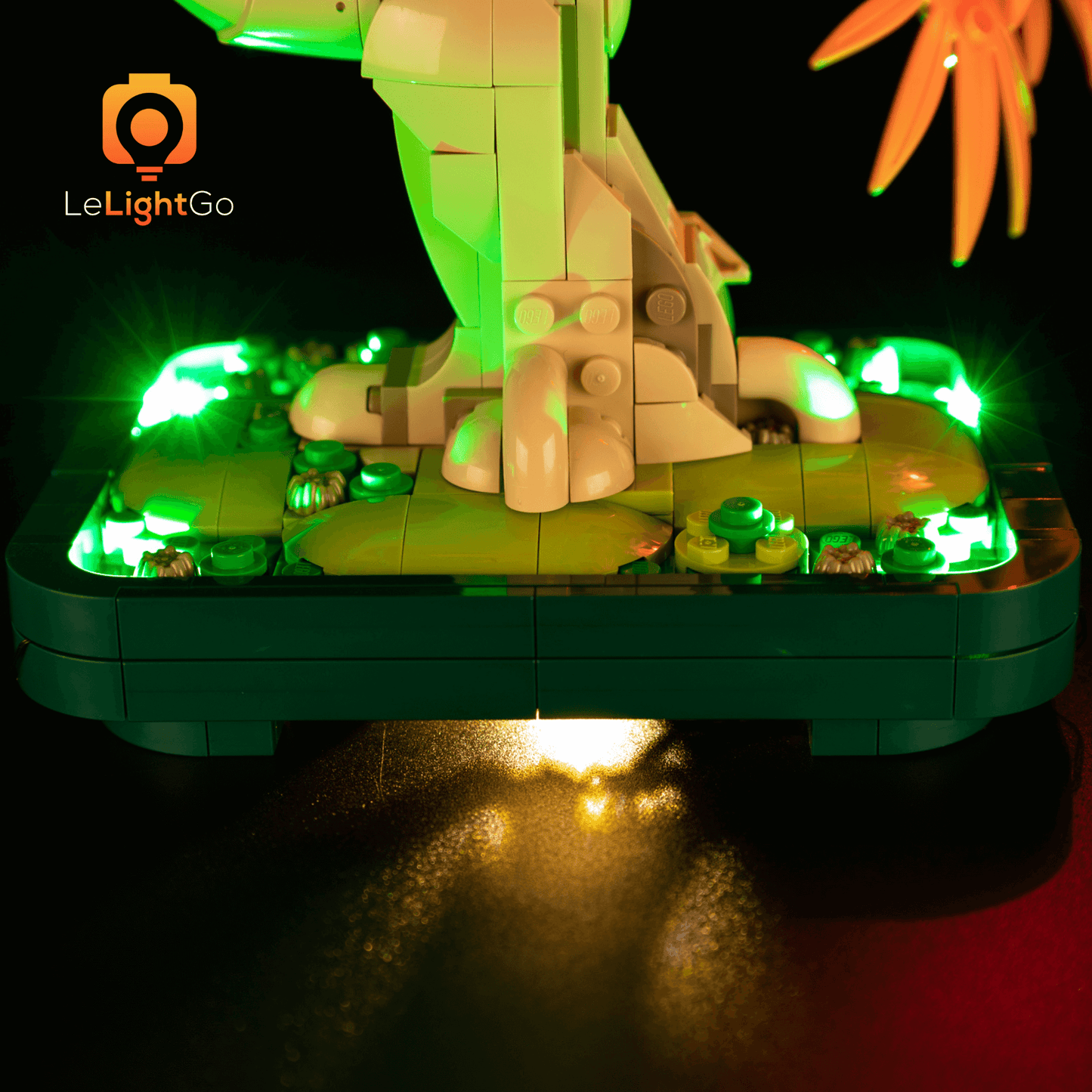 Light Kit For Japanese Red Maple Bonsai Tree 10348