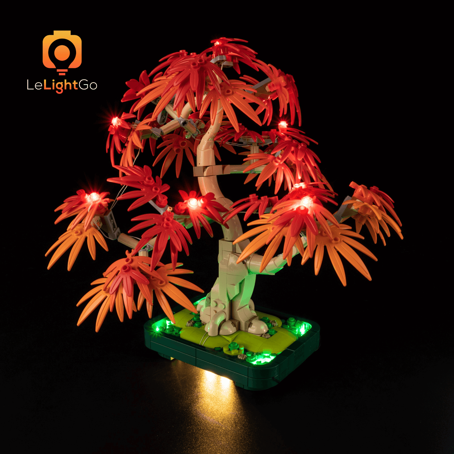 Light Kit For Japanese Red Maple Bonsai Tree 10348