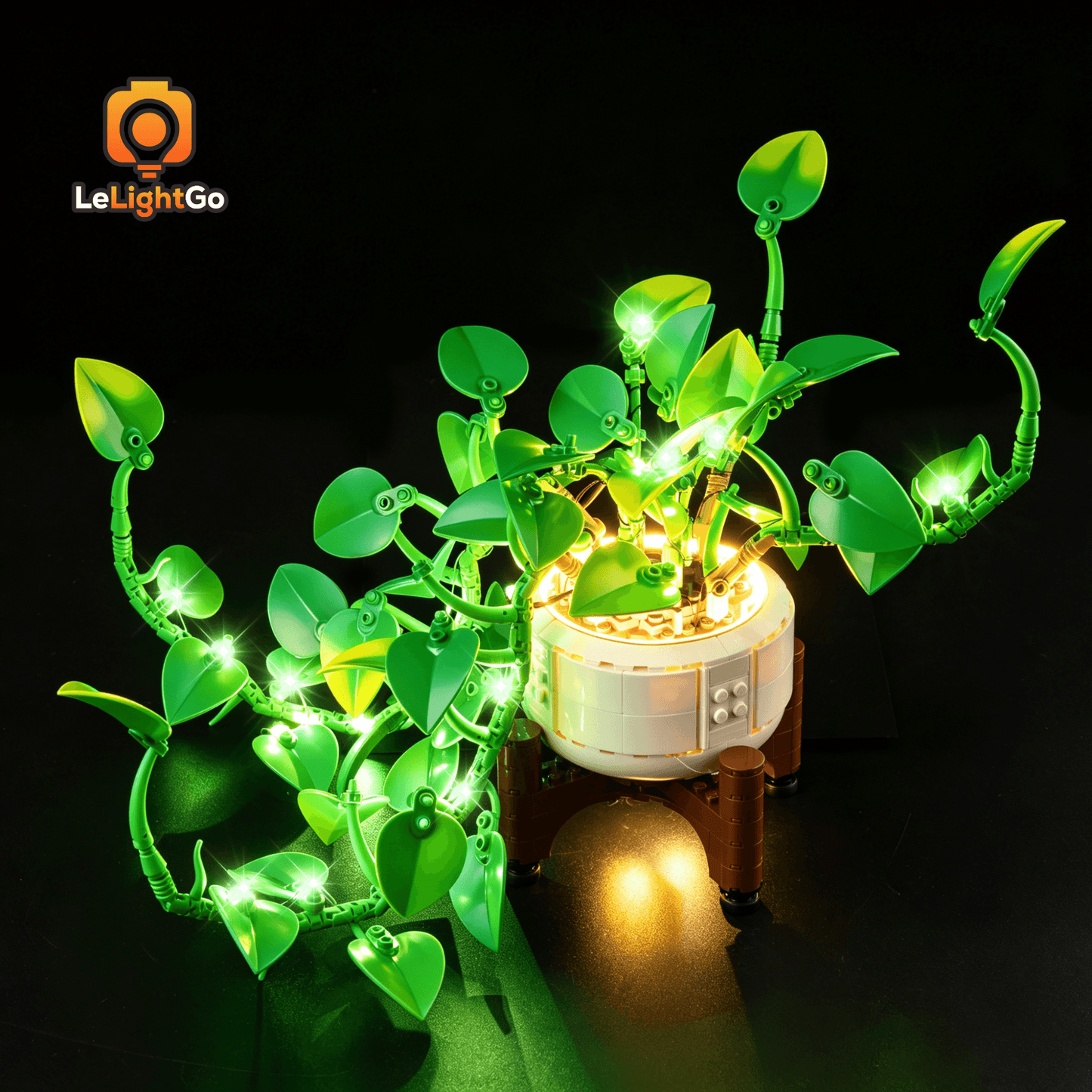 Light Kit For Hanging Golden Pothos 11512