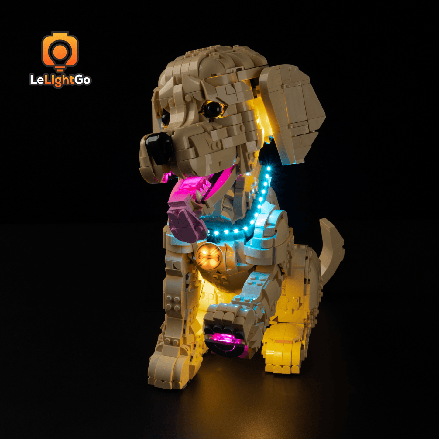 Light Kit For Golden Retriever Puppy 11384