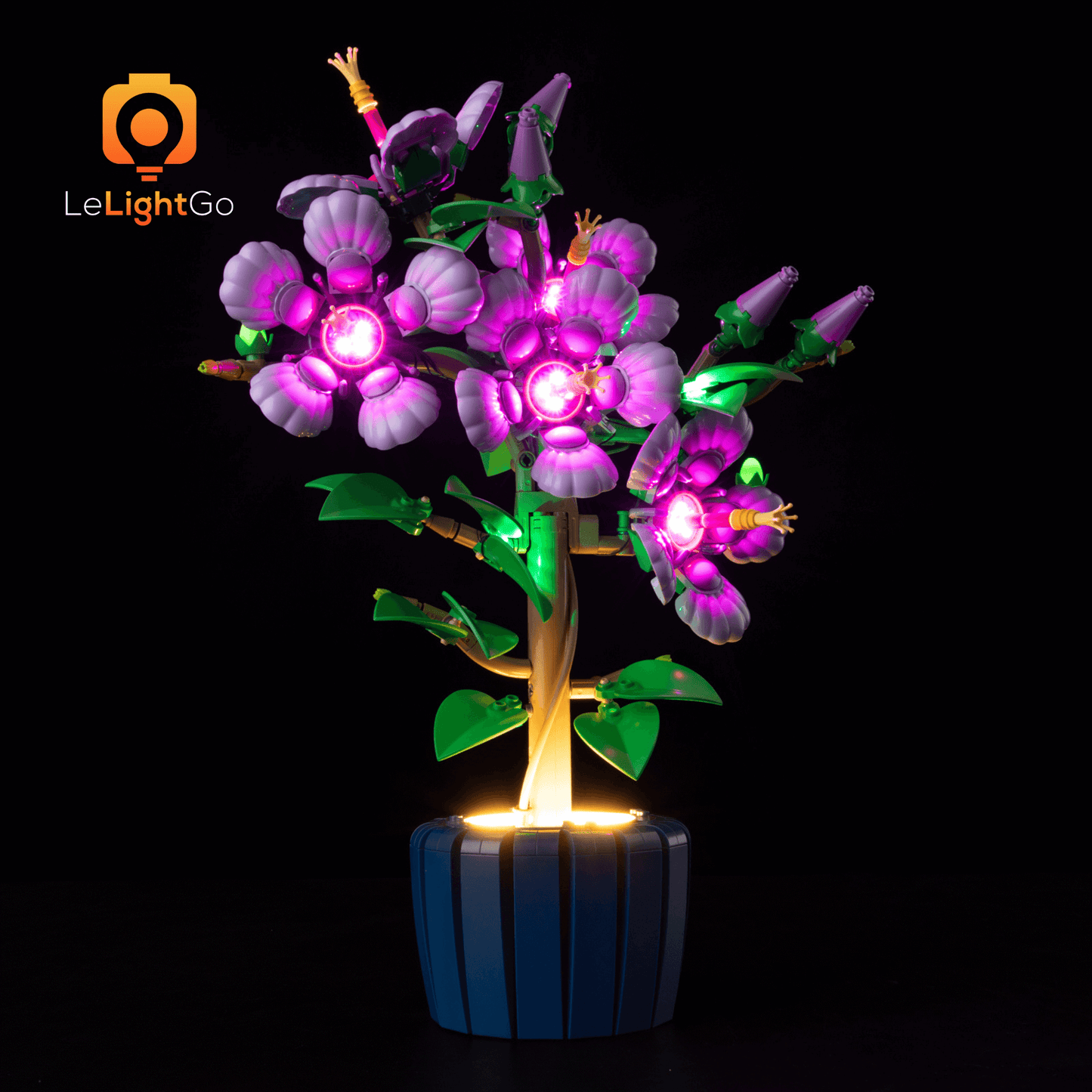 Light Kit For Hibiscus 10372