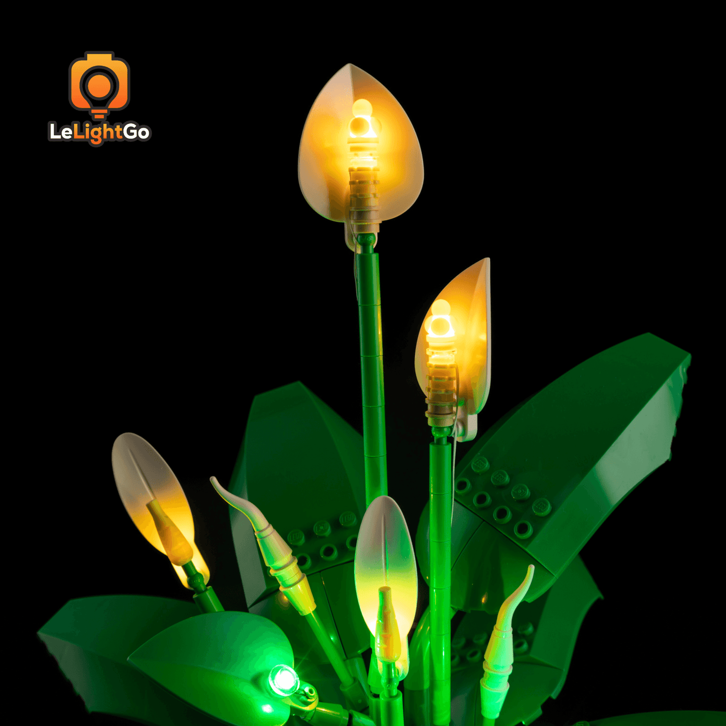 Light Kit For Peace Lily 11504