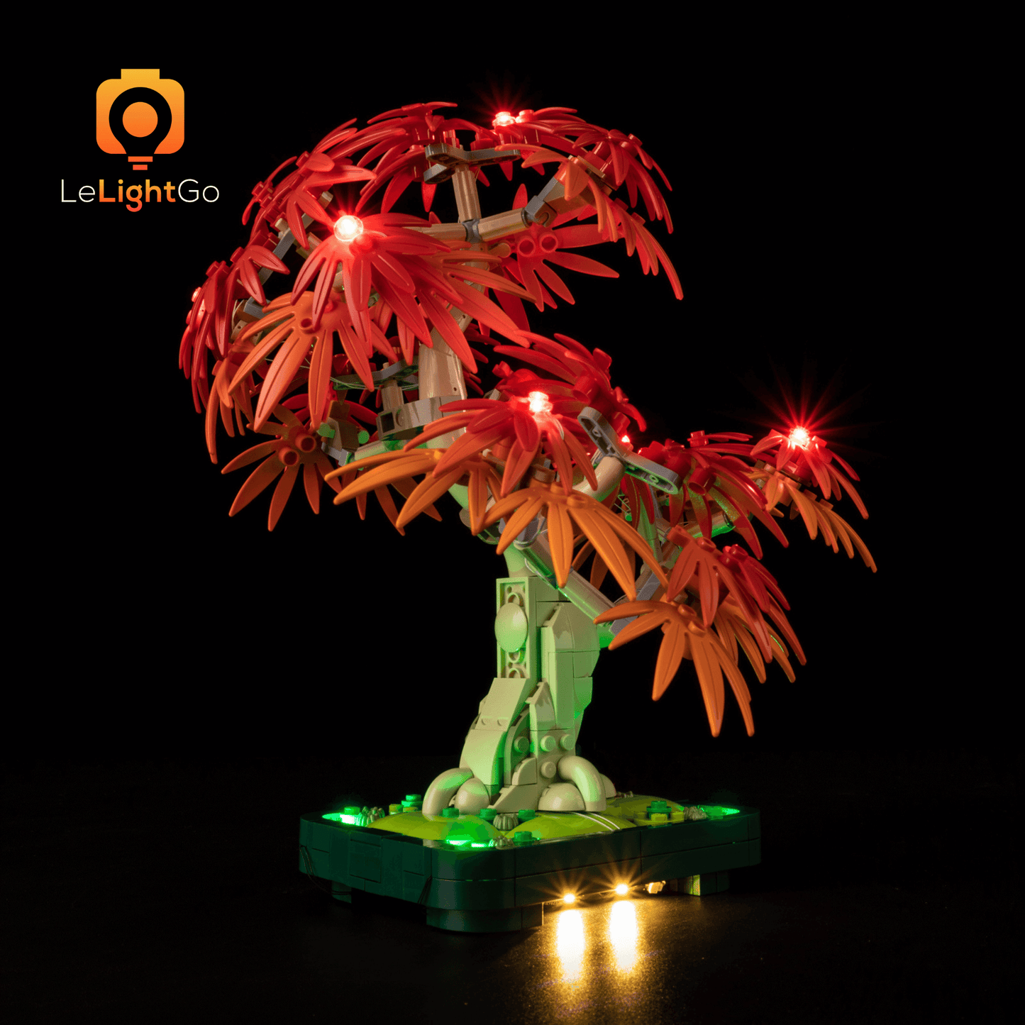 Light Kit For Japanese Red Maple Bonsai Tree 10348