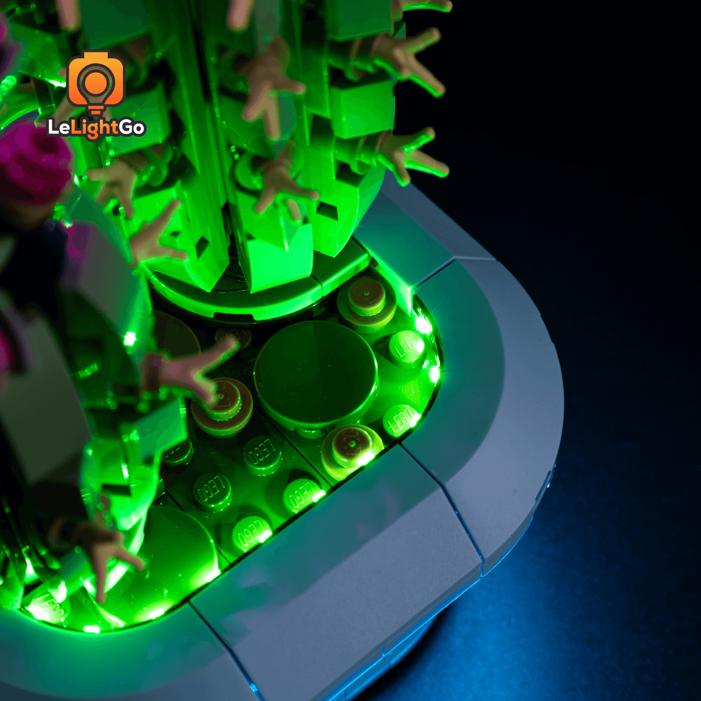 Light Kit For Flowering Cactus 11509