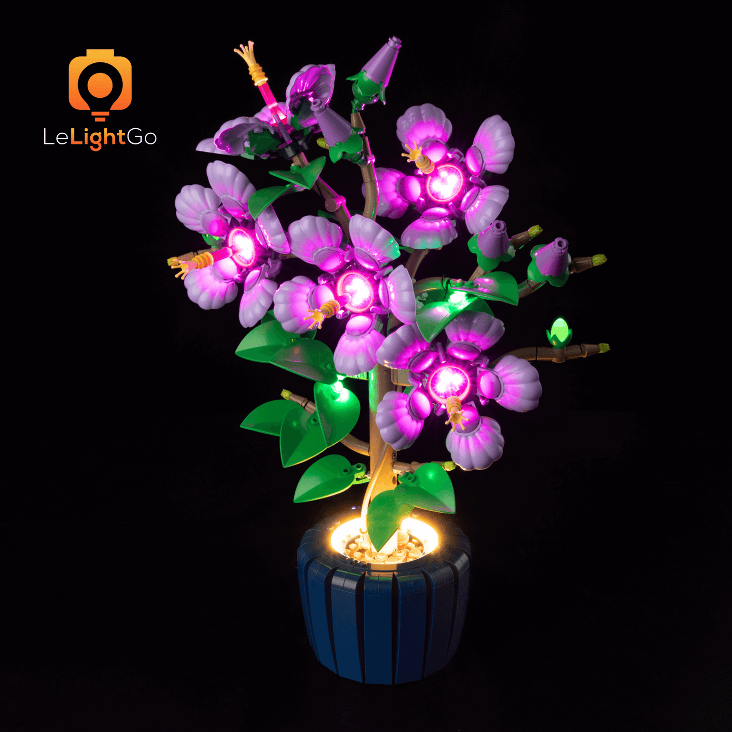 Light Kit For Hibiscus 10372