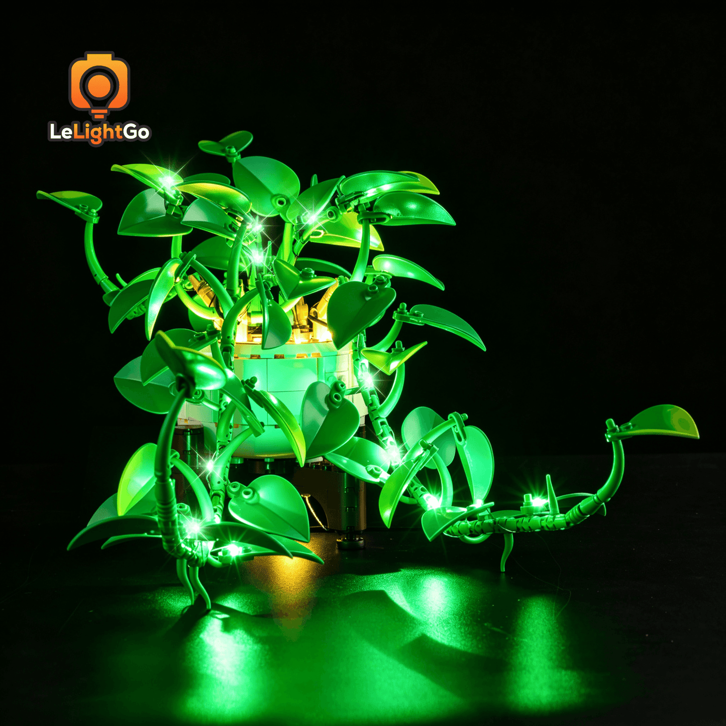 Light Kit For Hanging Golden Pothos 11512