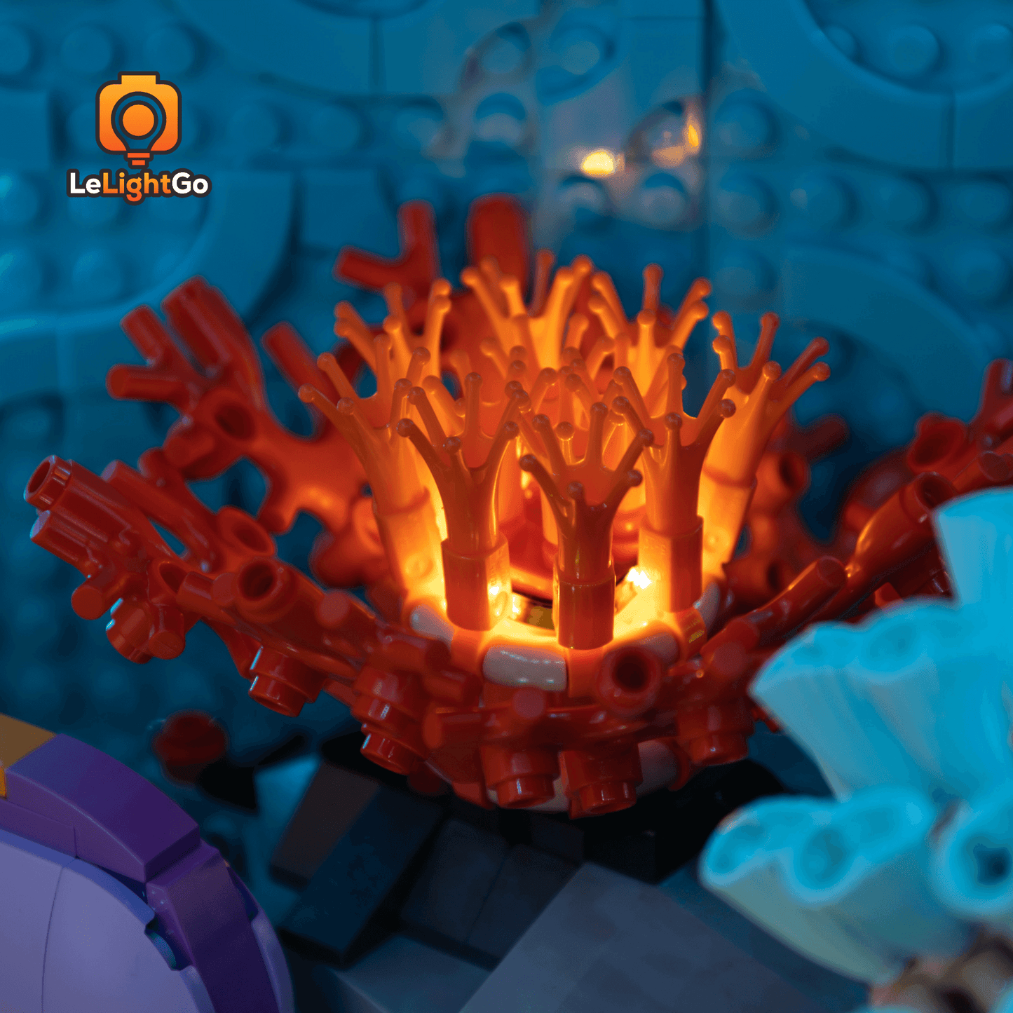 Light Kit For Tropical Aquarium 10366