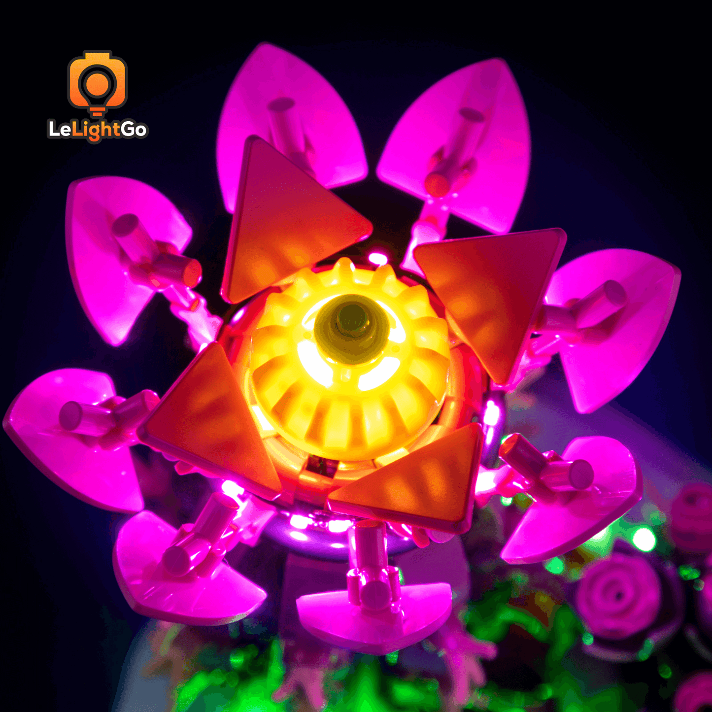 Light Kit For Flowering Cactus 11509