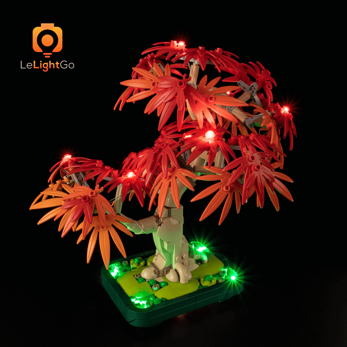 Light Kit For Japanese Red Maple Bonsai Tree 10348