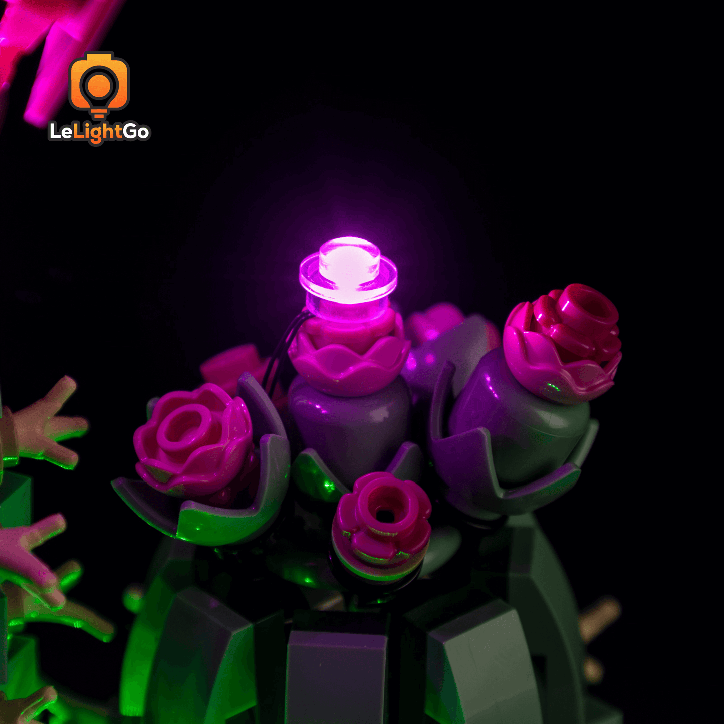 Light Kit For Flowering Cactus 11509