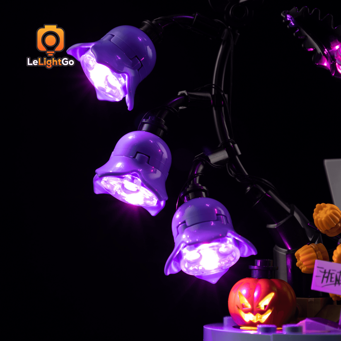 Light Kit For Sally's Flowerpot 43288