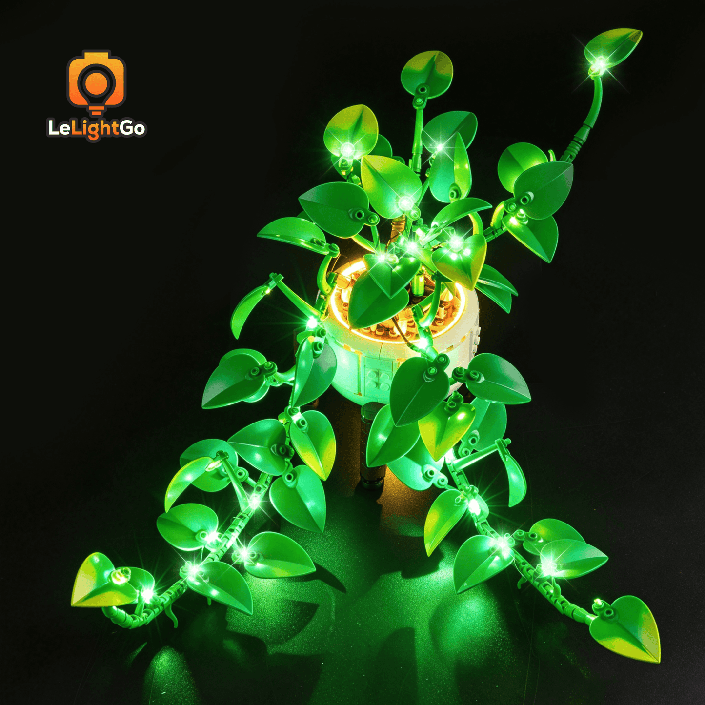 Light Kit For Hanging Golden Pothos 11512
