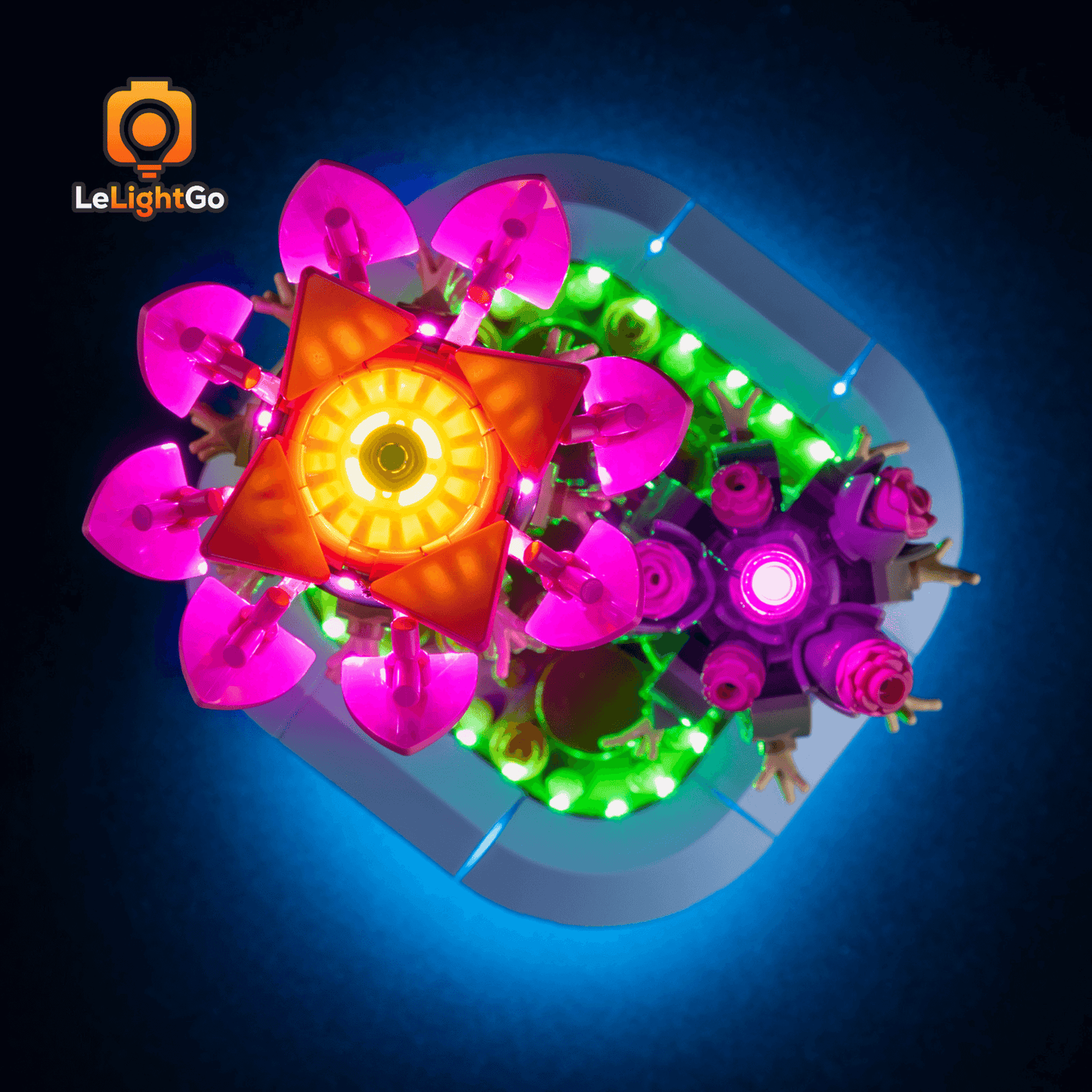 Light Kit For Flowering Cactus 11509