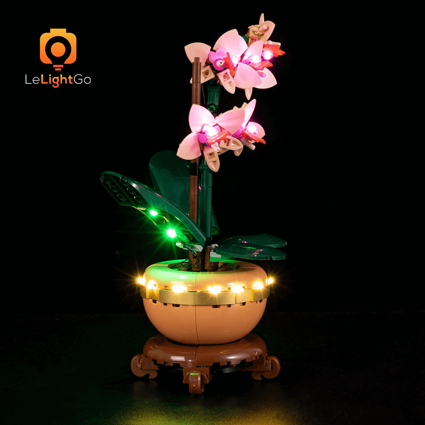 Light Kit For Mini Orchid 10343