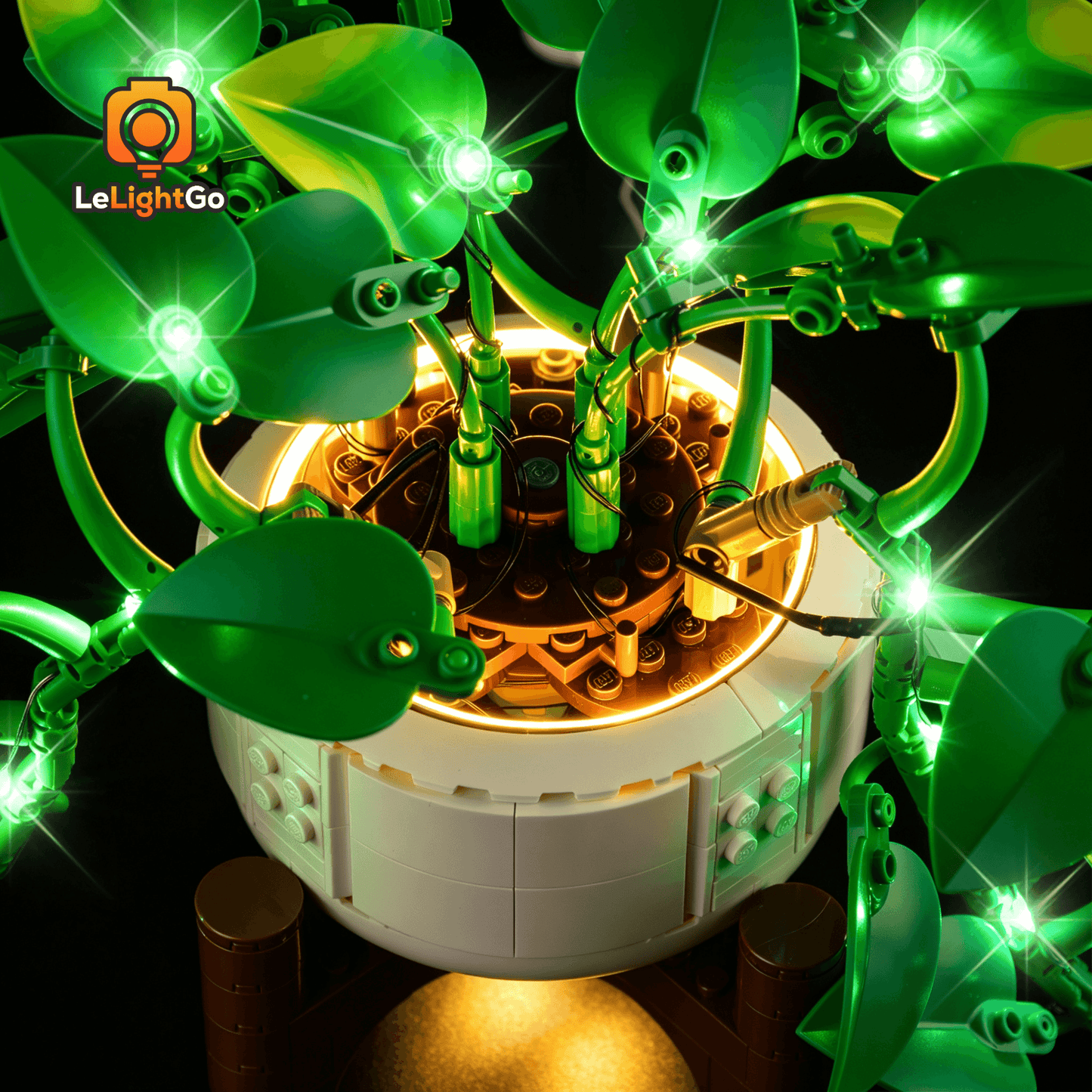 Light Kit For Hanging Golden Pothos 11512