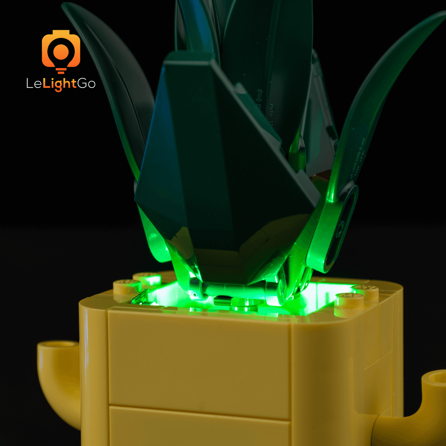 Light Kit For Happy Plants 10349