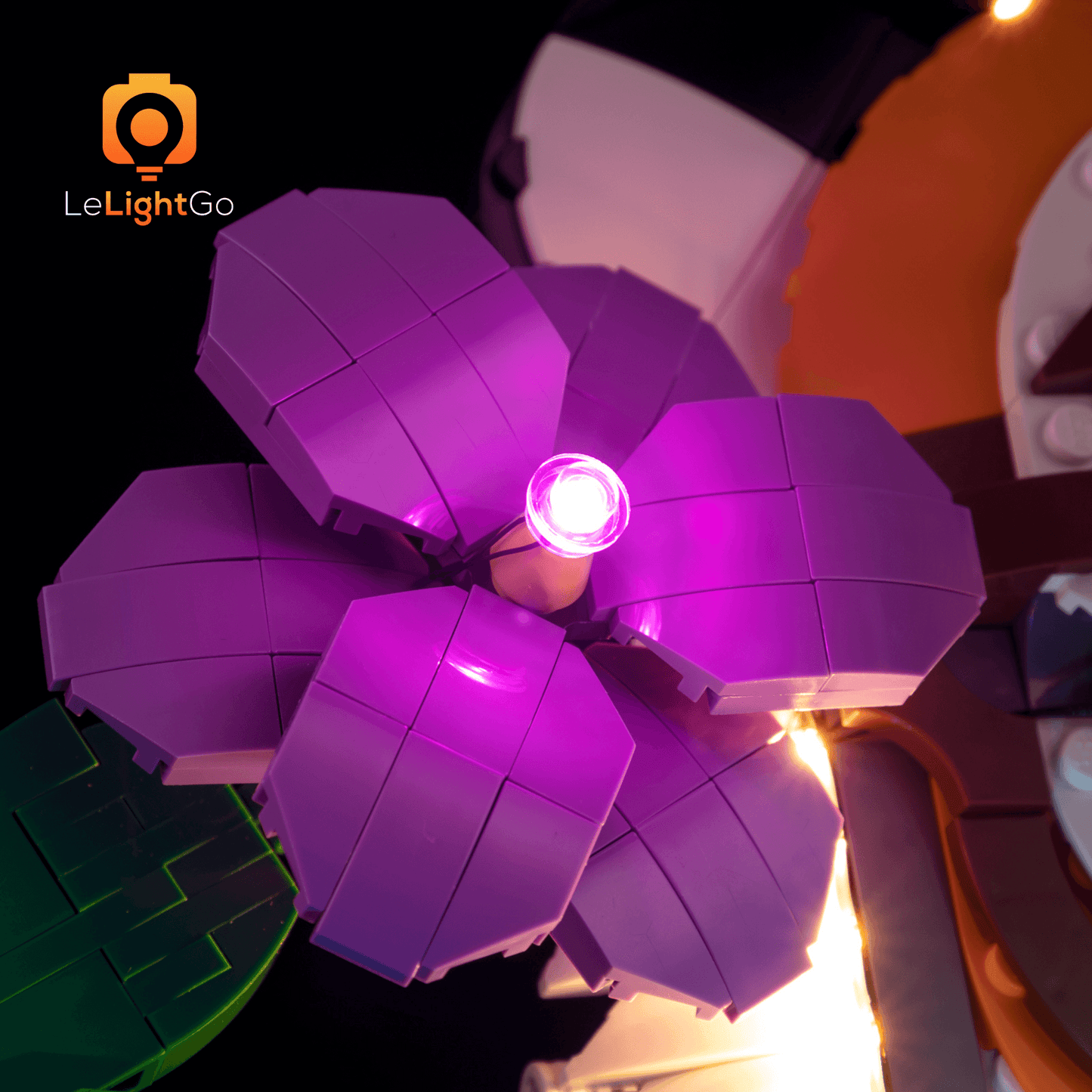 Light Kit For The Fauna Collection - Tiger 31217