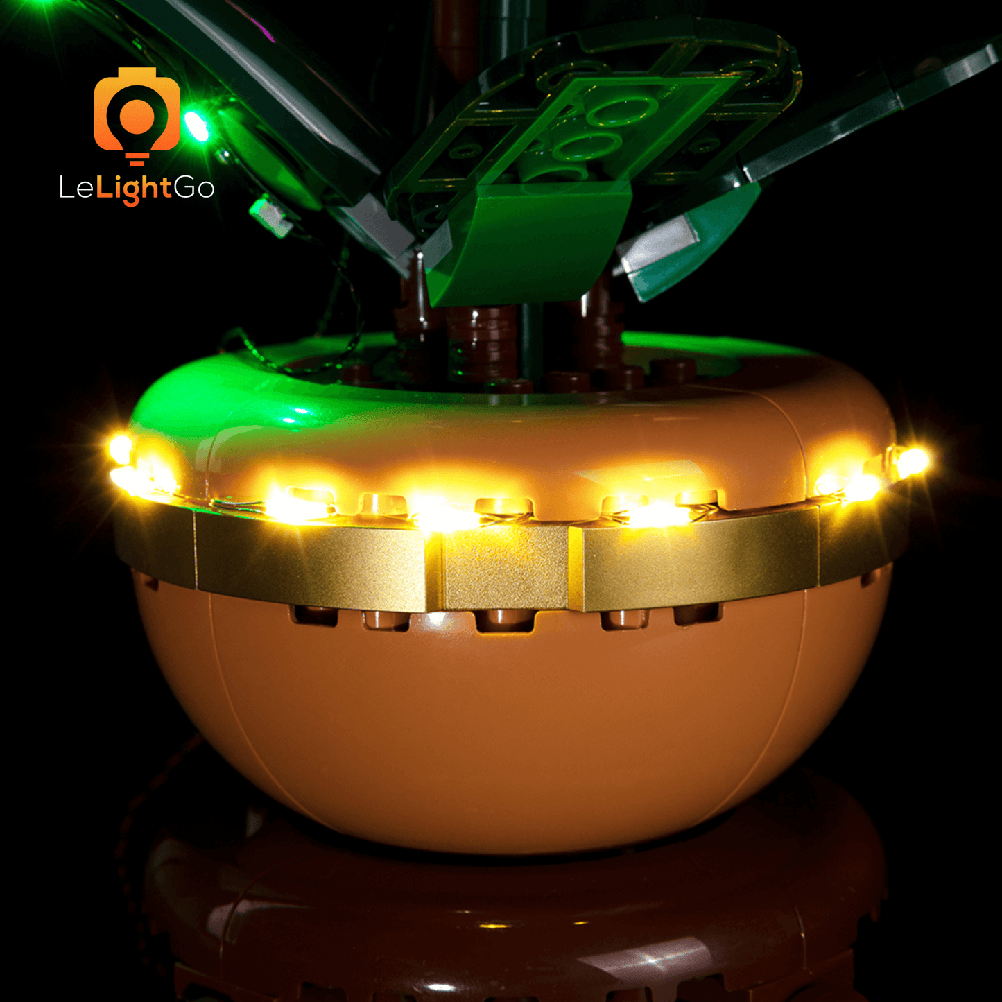 Light Kit For Mini Orchid 10343