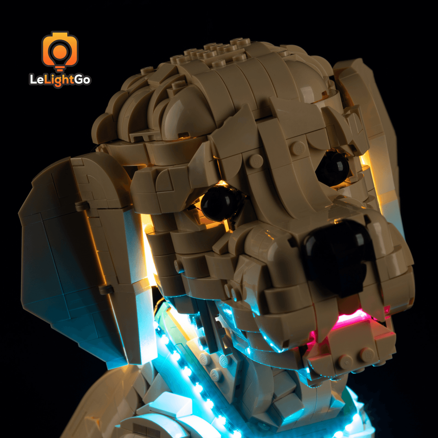 Light Kit For Golden Retriever Puppy 11384