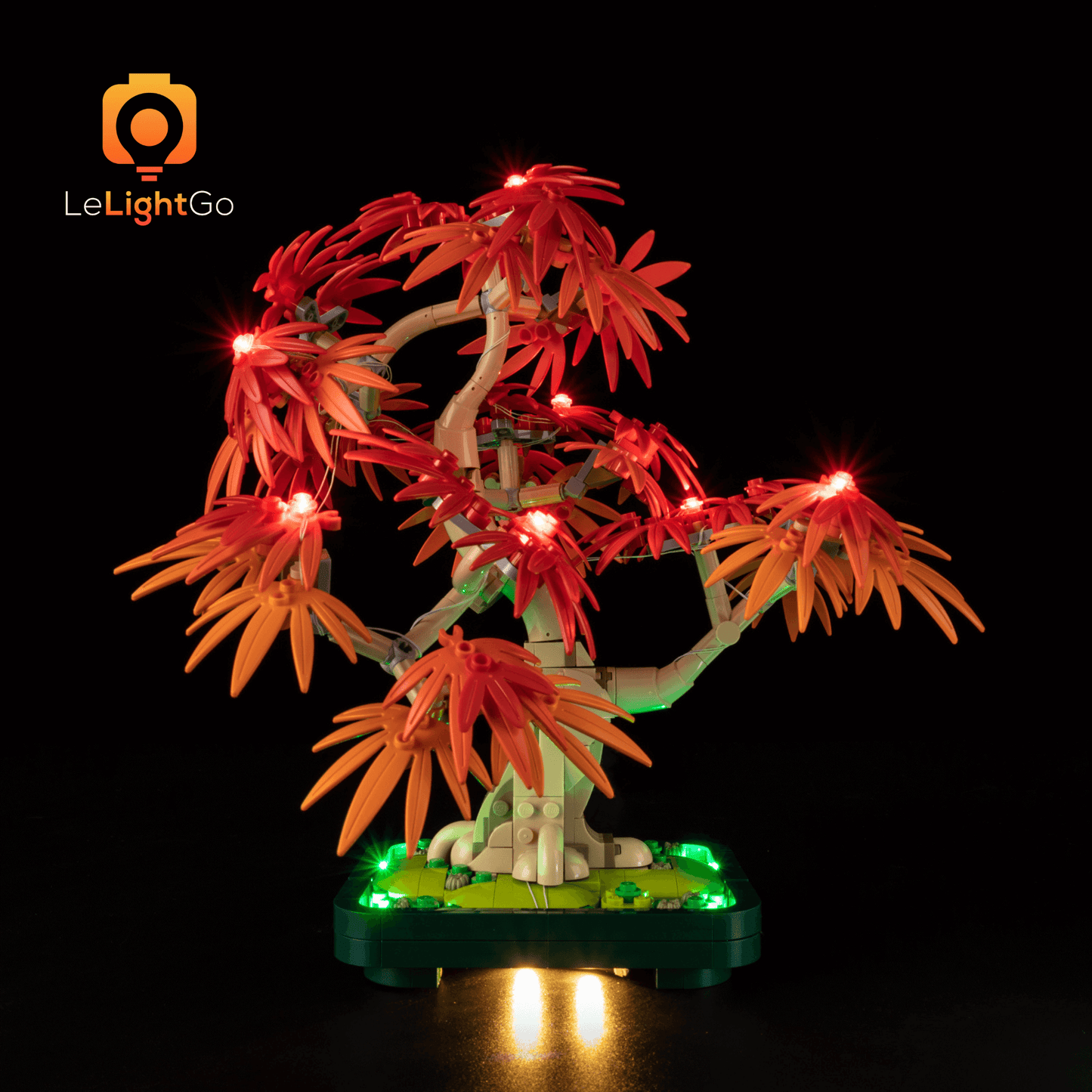 Light Kit For Japanese Red Maple Bonsai Tree 10348
