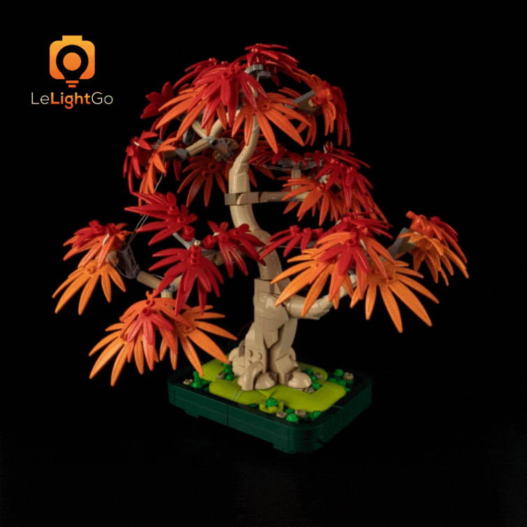 Light Kit For Japanese Red Maple Bonsai Tree 10348
