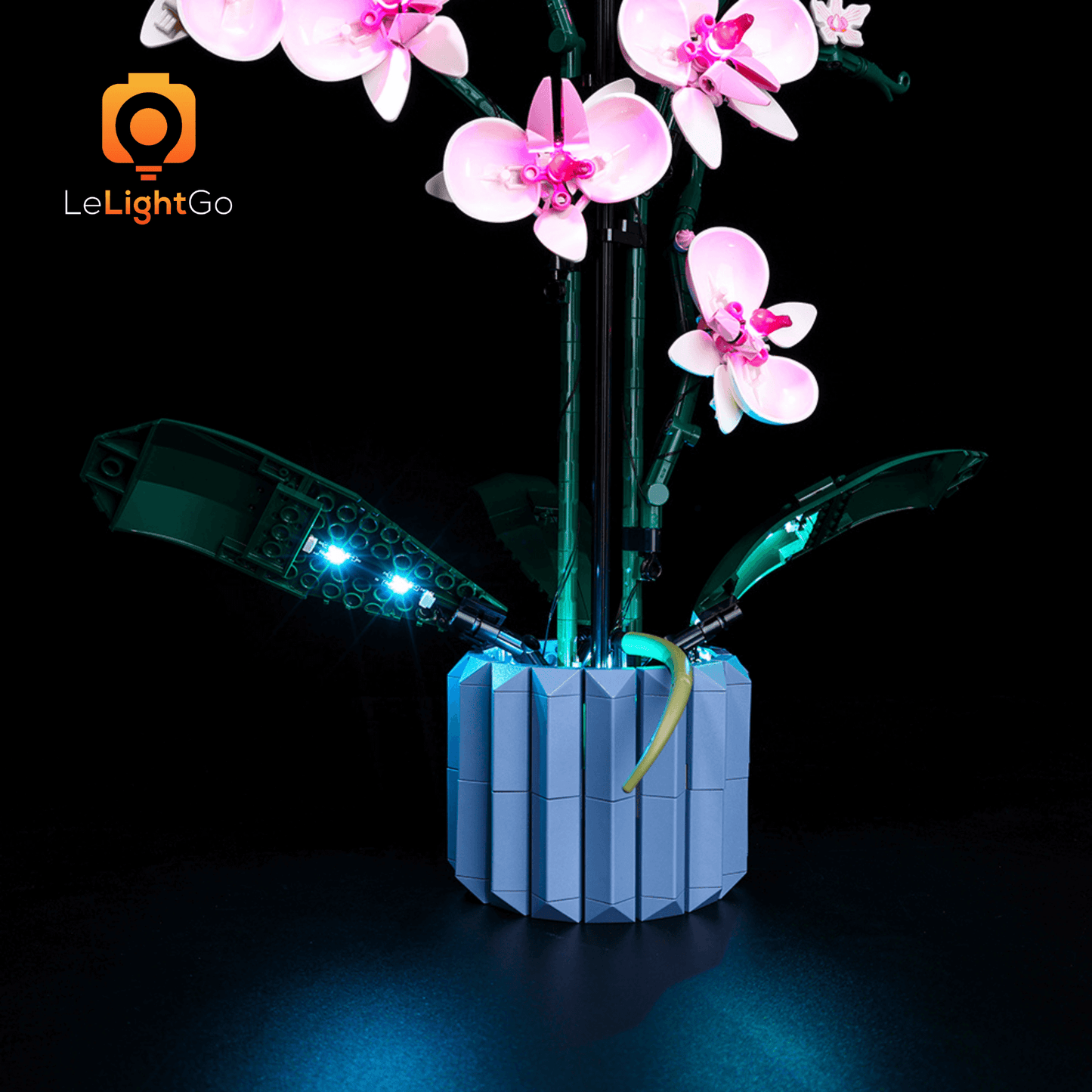 Light Kit For Orchid 10311
