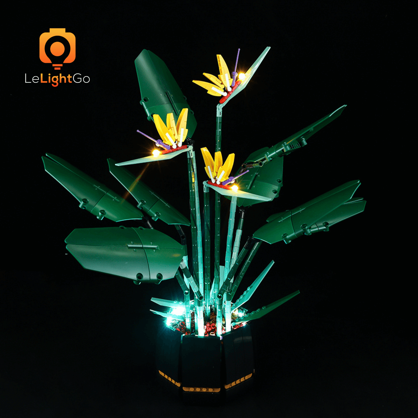 Light Kit For Bird of Paradise 10289