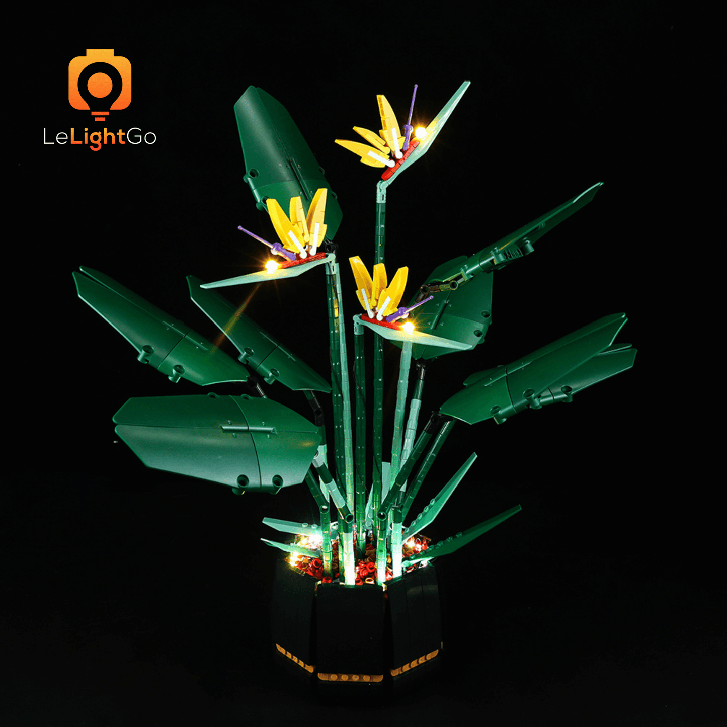 Light Kit For Bird of Paradise 10289