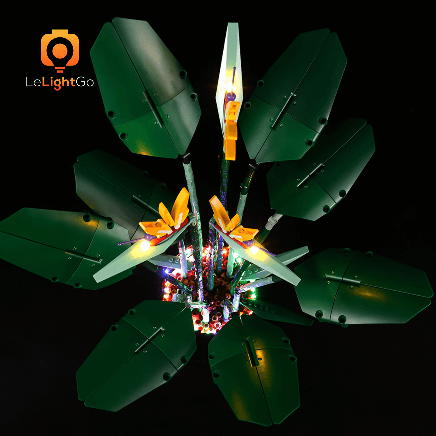 Light Kit For Bird of Paradise 10289