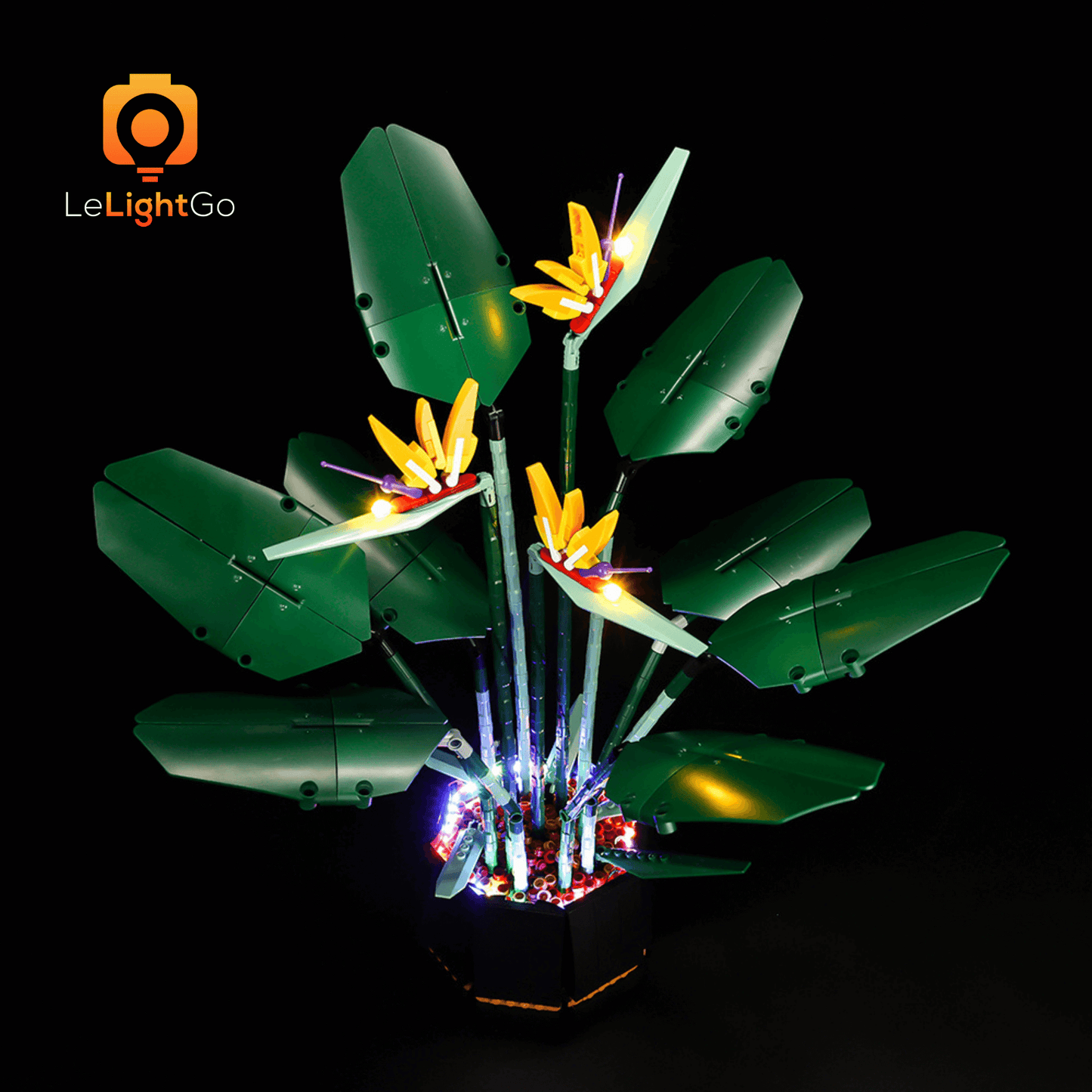 Light Kit For Bird of Paradise 10289