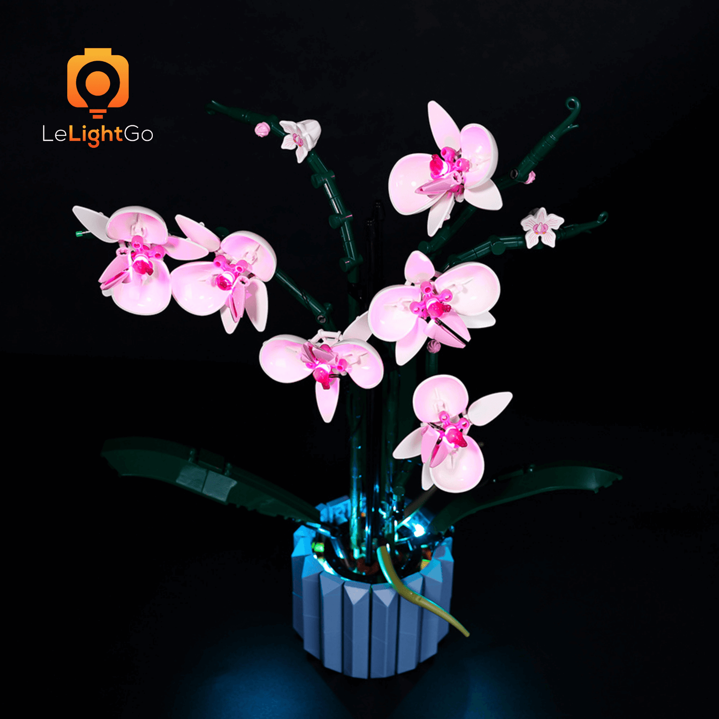 Light Kit For Orchid 10311