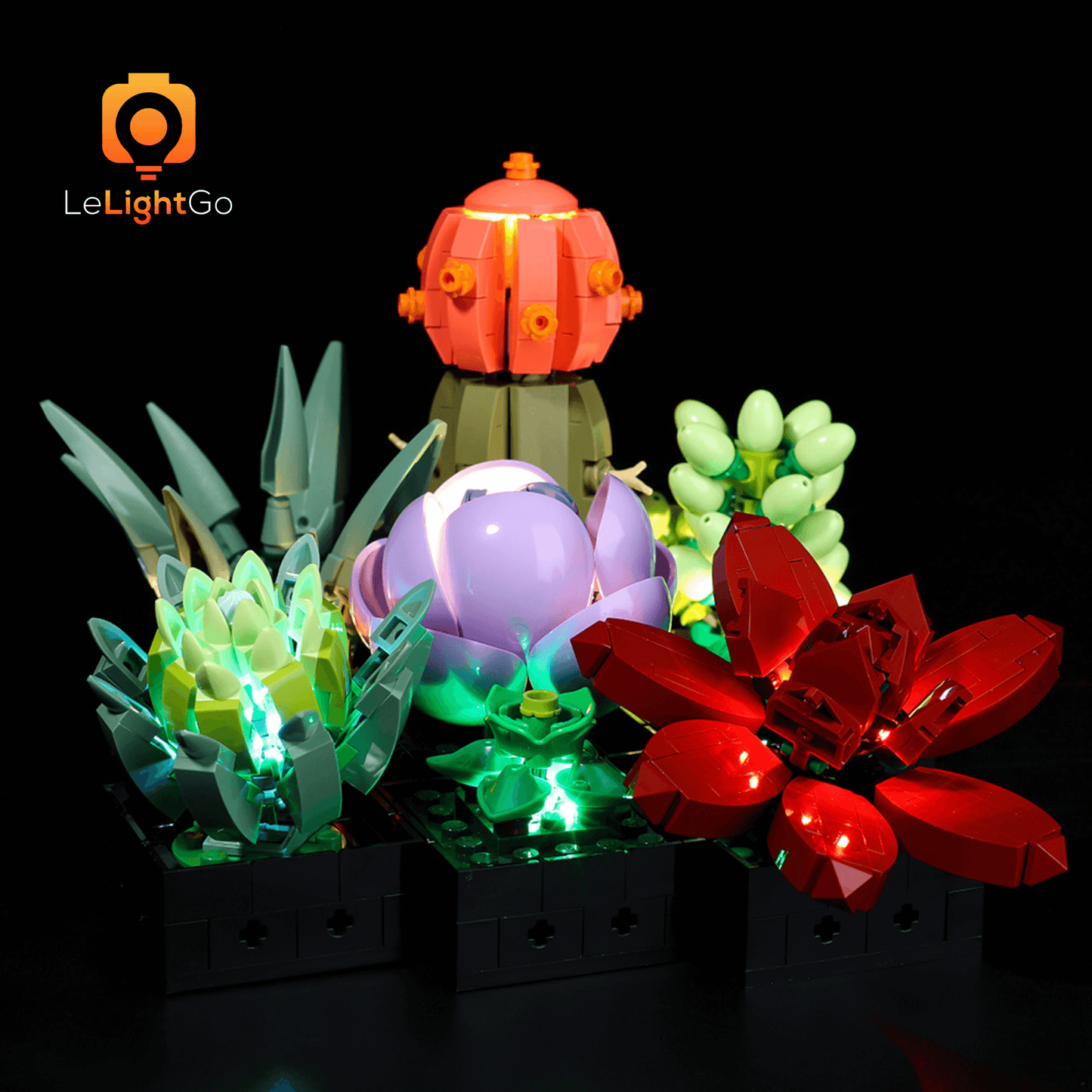 Light Kit For Succulents 10309