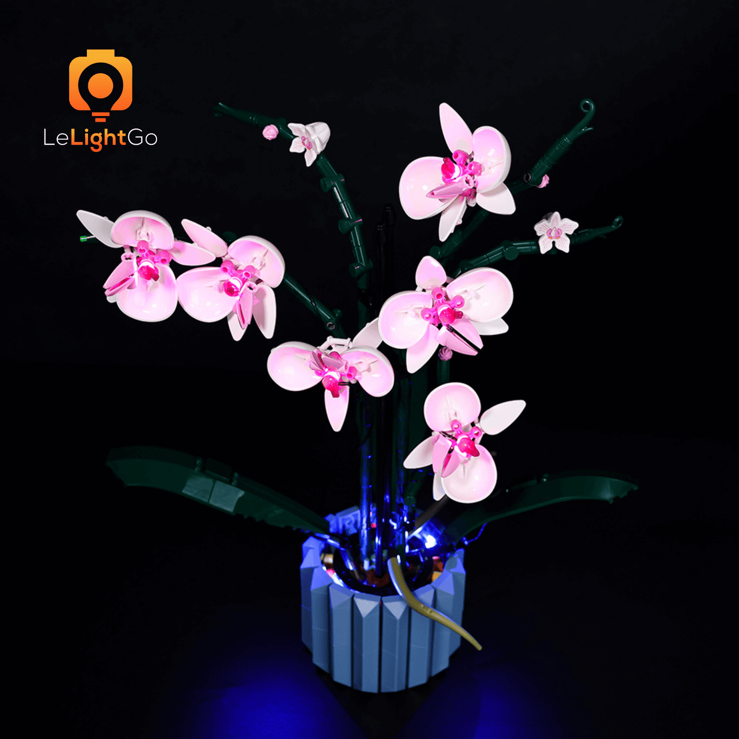 Light Kit For Orchid 10311