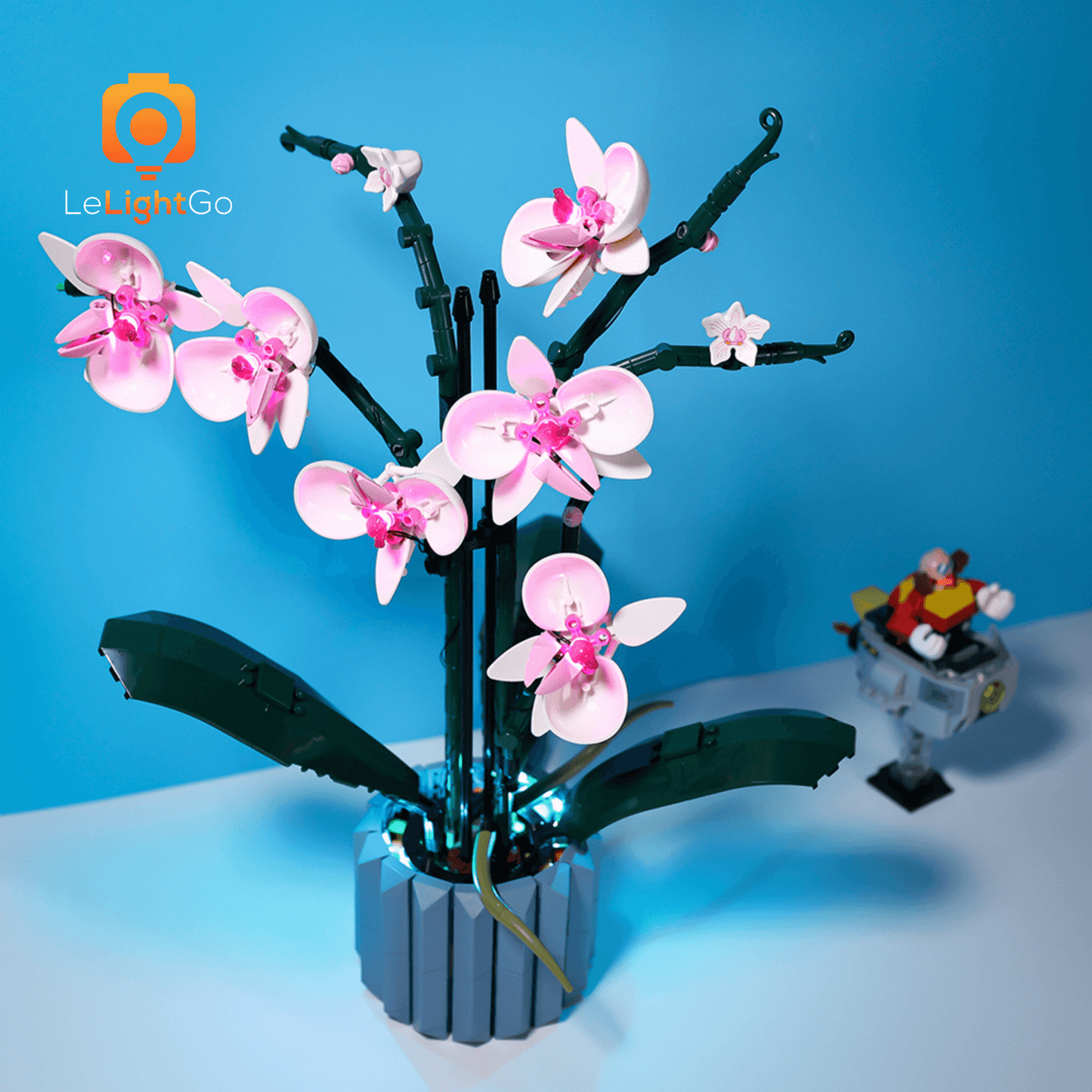 Light Kit For Orchid 10311