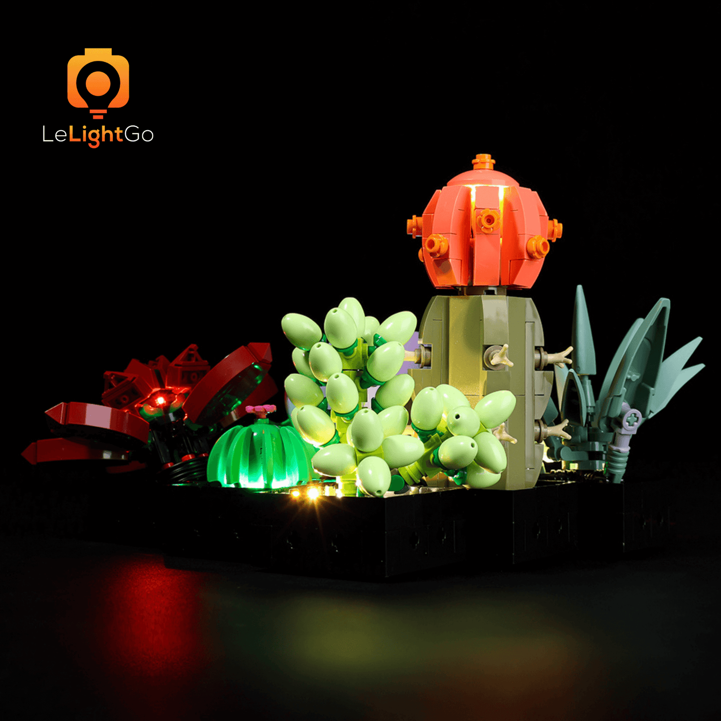 Light Kit For Succulents 10309