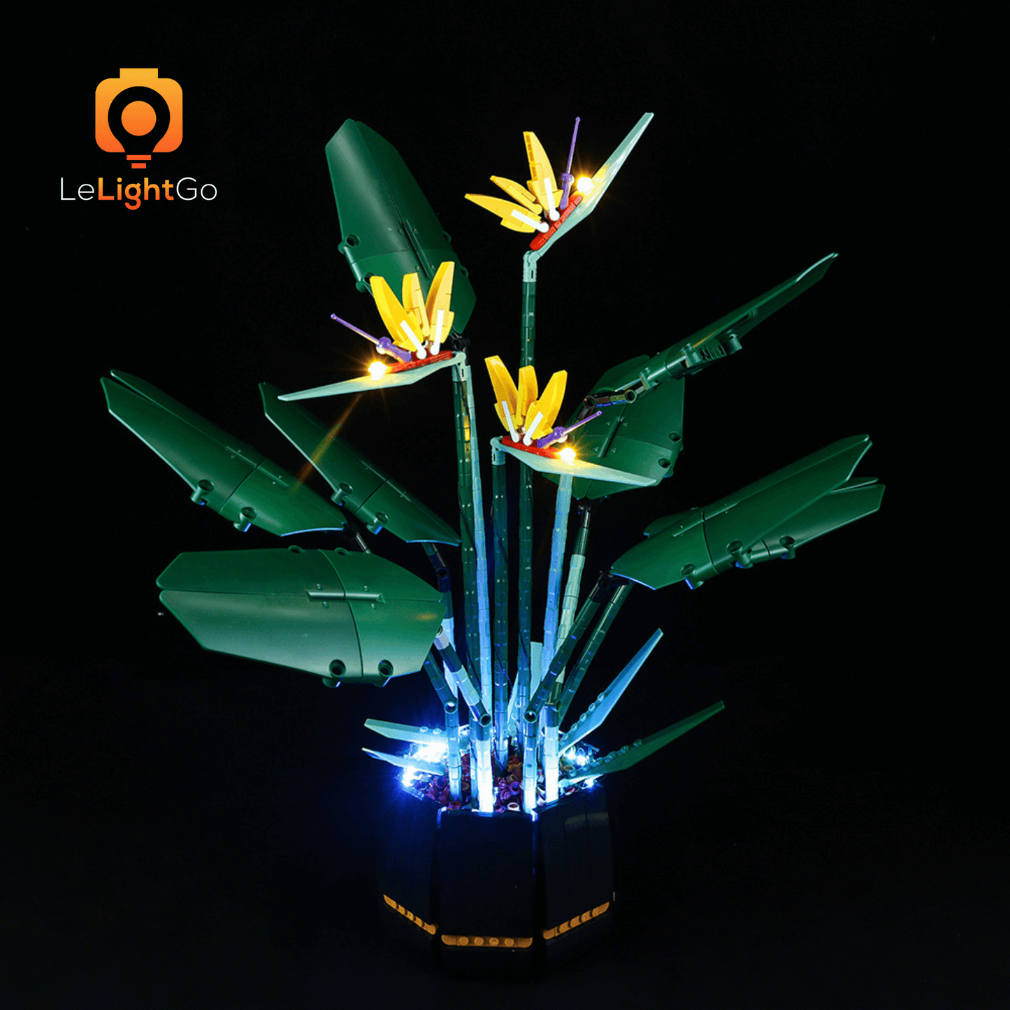 Light Kit For Bird of Paradise 10289