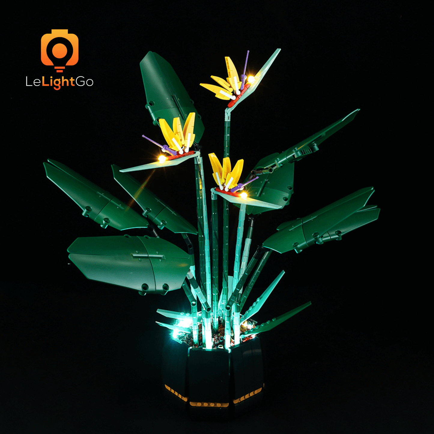 Light Kit For Bird of Paradise 10289